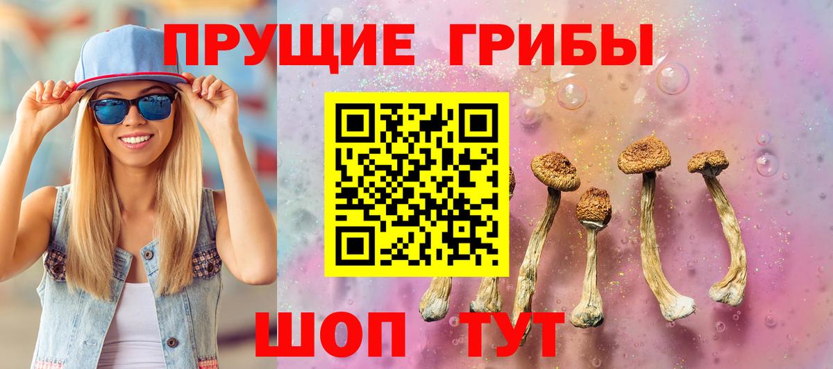 Псилоцибиновые грибы мухоморы  Вход с VPN  Котельники 